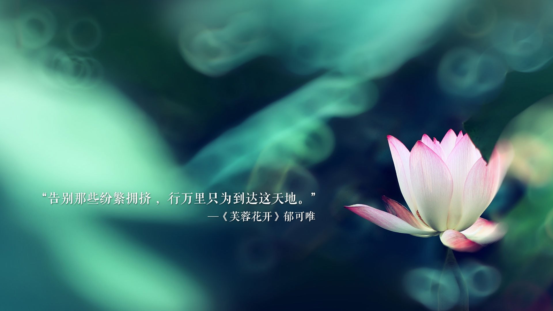 中国反曲弓女队在射箭世界杯上海站获得团体冠军，中国反曲弓男子队员