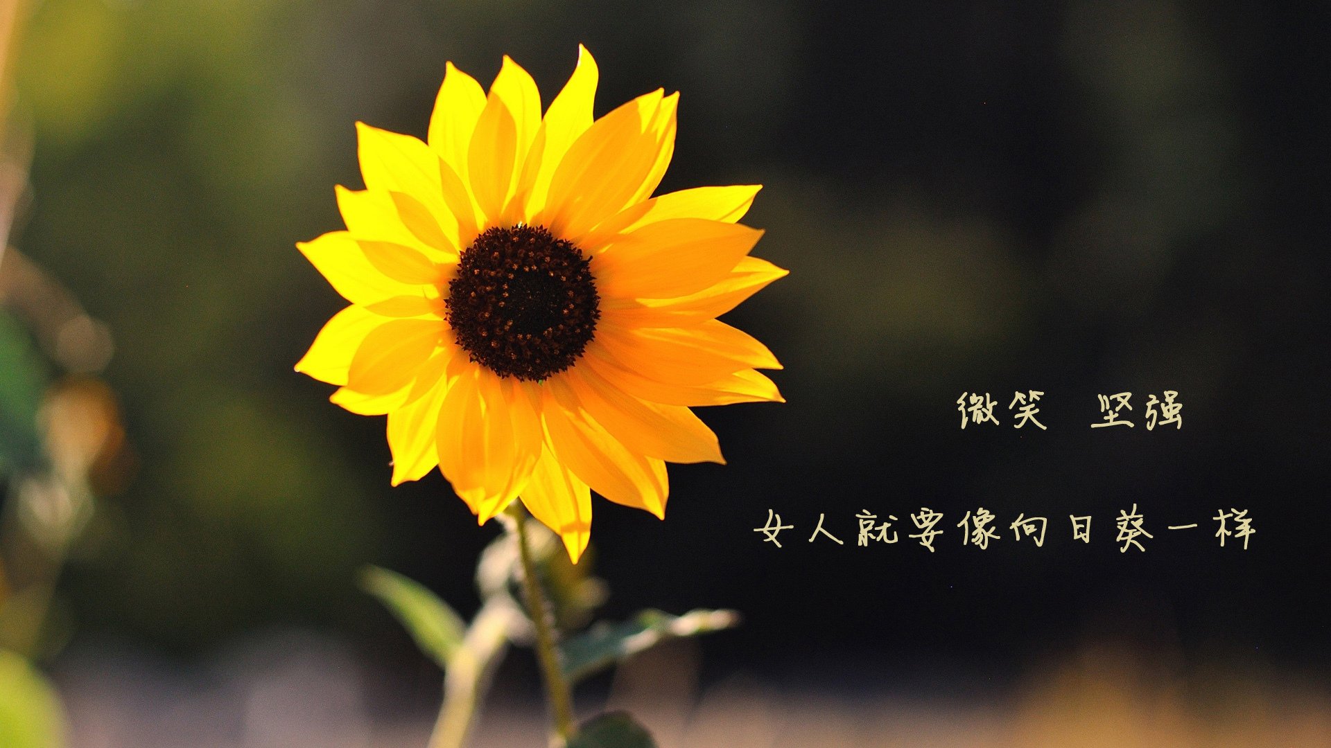 电竞直播平台用户增长与留存策略，电竞直播行业现状