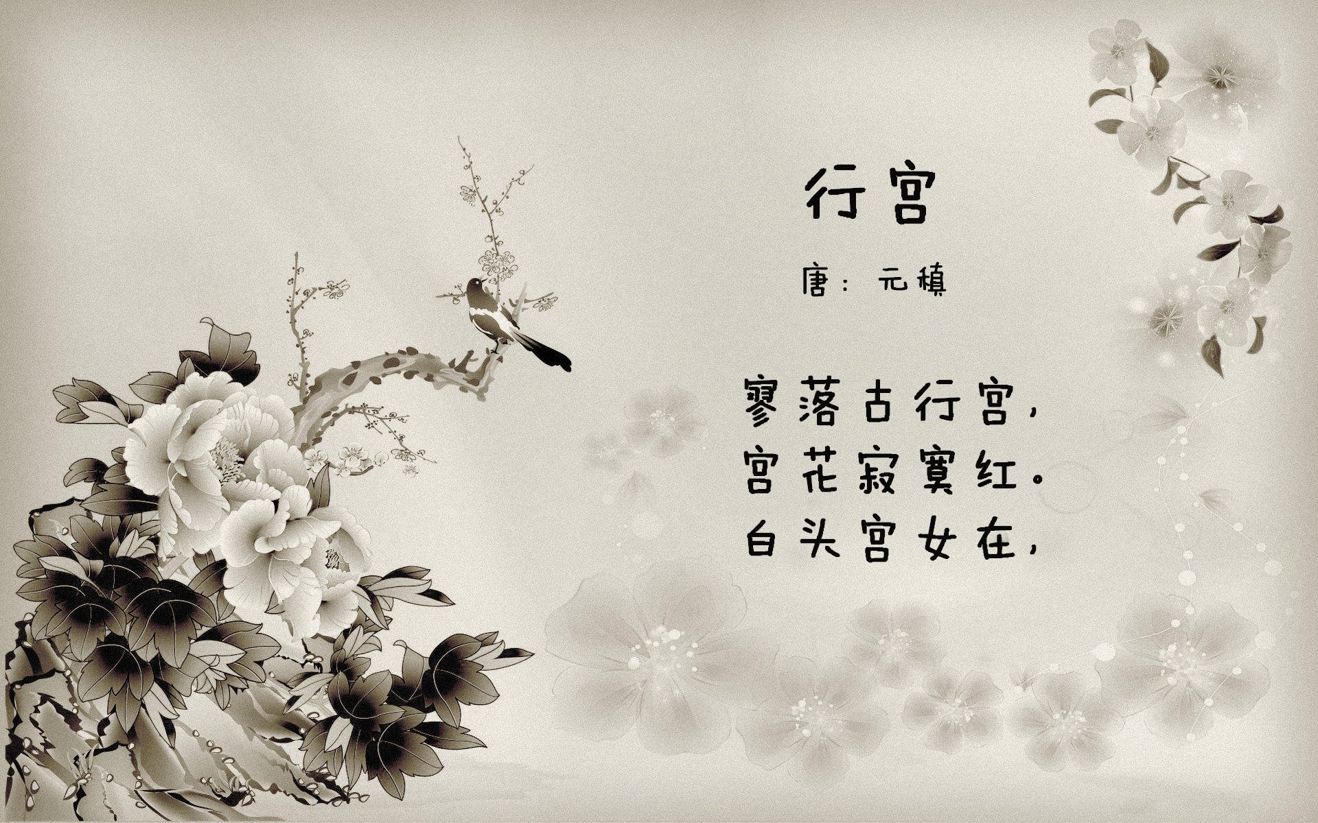 法甲年轻力量：未来的新希望！，法甲00后