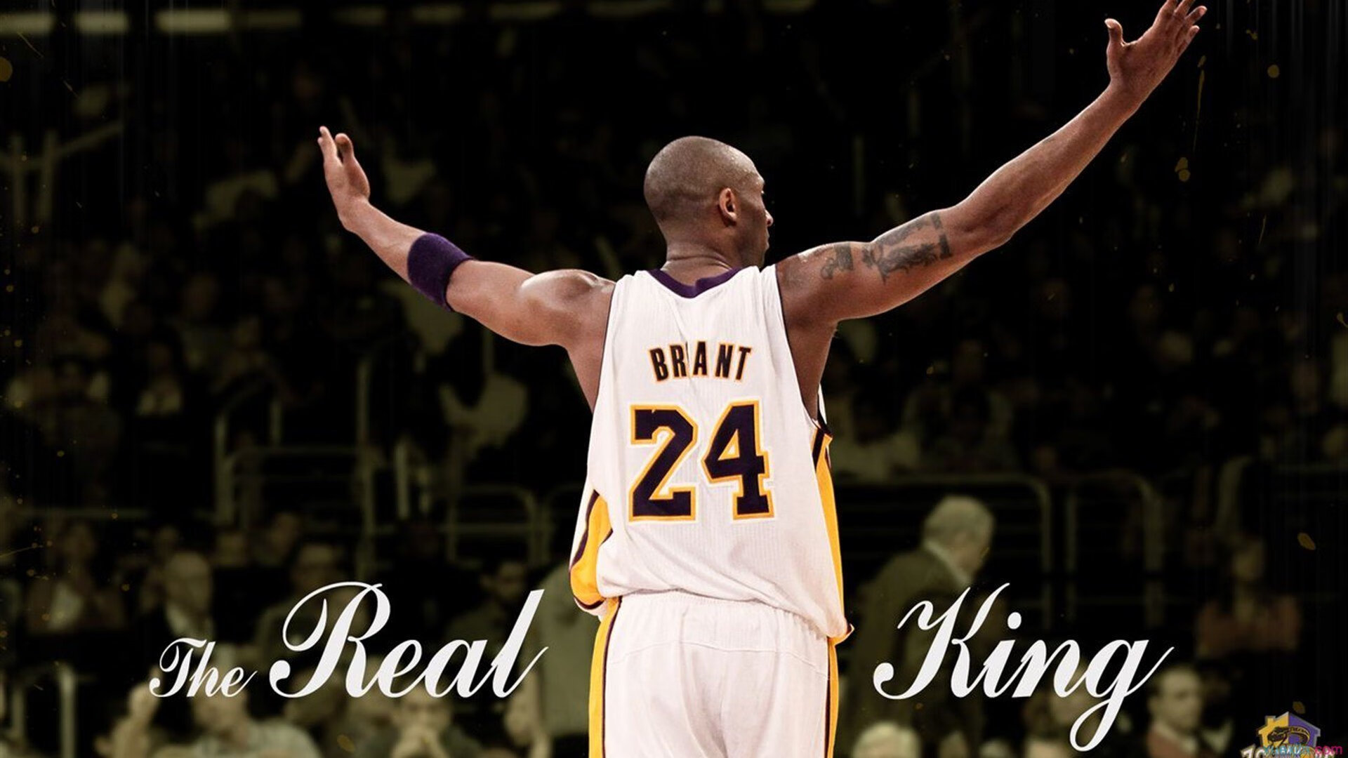 爱游戏体育官方入口-今年联盟最具潜力的新秀，谁最有可能夺得年度MVP？，lol最佳新秀